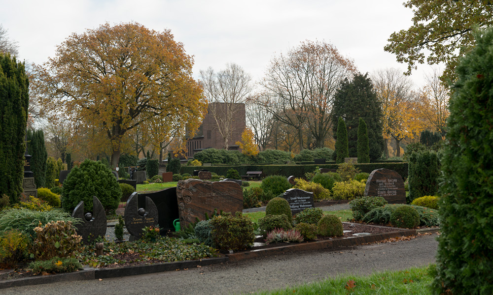 Feldstr-Herbst19-4