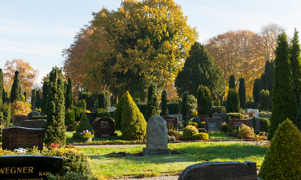 Friedhof-Feldstrasse-Herbst-18-190
