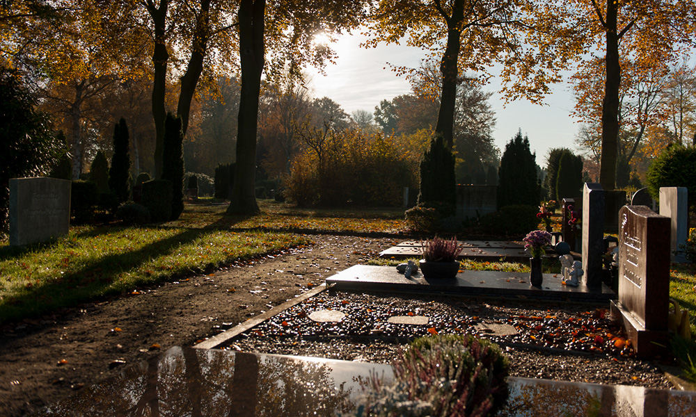 Friedhof-Feldstrasse-Herbst-18-28