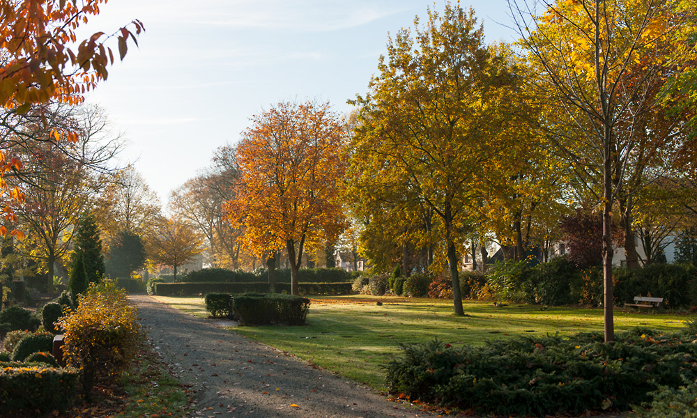 Friedhof-Feldstrasse-Herbst-18-6