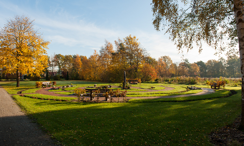 riedhof-Feldstrasse-Herbst-18-98