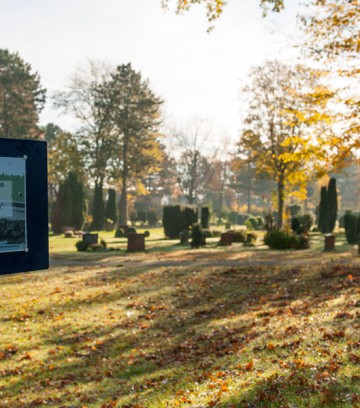 Friedhof-Feldstrasse-Herbst-18-55