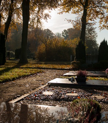 Friedhof-Feldstrasse-Herbst-18-28